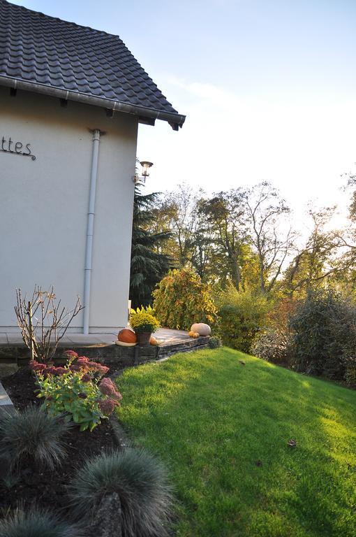 Chambres D'Hotes Les Chalinettes Fegersheim Luaran gambar